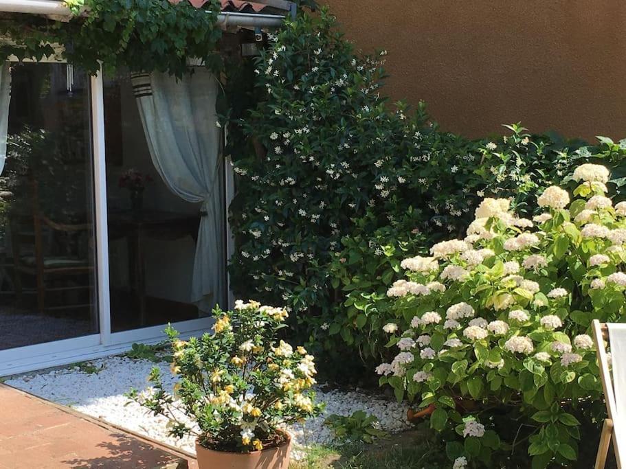 Studio Close Fourviere Very Quiet & Small Terrace Διαμέρισμα Λυών Εξωτερικό φωτογραφία